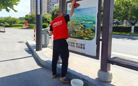 烈日映红心，环境共守护——东阳平安产险开展世界环境日公益活动